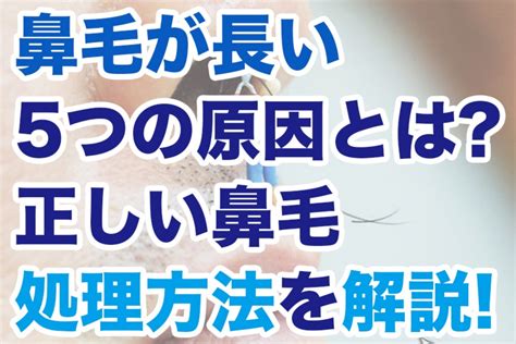 鼻毛長原因|鼻毛が長い4つの原因＆正しい処理方法まとめ【鼻の。